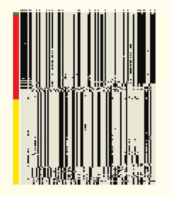 Варианты гена EPAS1